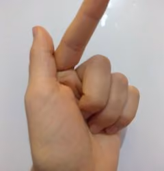 fingertip224