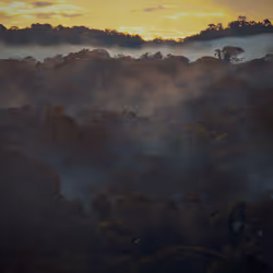 45576425564904372626892608315059614446222544919153294335331944278654598512641