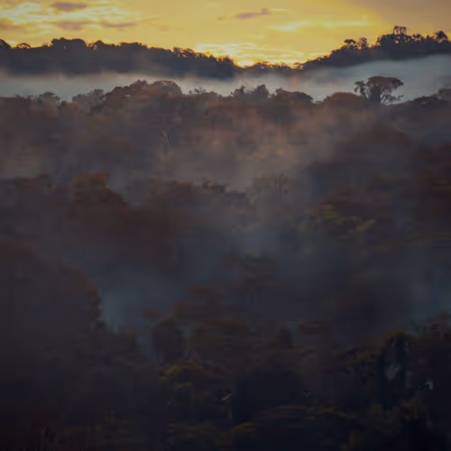 45576425564904372626892608315059614446222544919153294335331944278654598512641