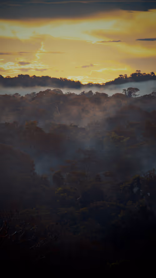 Item #45576425564904372626892608315059614446222544919153294335331944278654598512641 Media