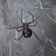 18226404771565199125862867335822425337028822212663251798431483526363851259914