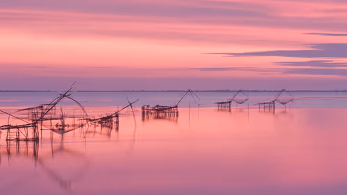 Untitled Collection #62543502