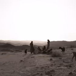 109162157552346088047496633038404394118504199992061596446112929323655198932993