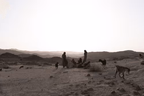 Item #109162157552346088047496633038404394118504199992061596446112929323655198932993 Media