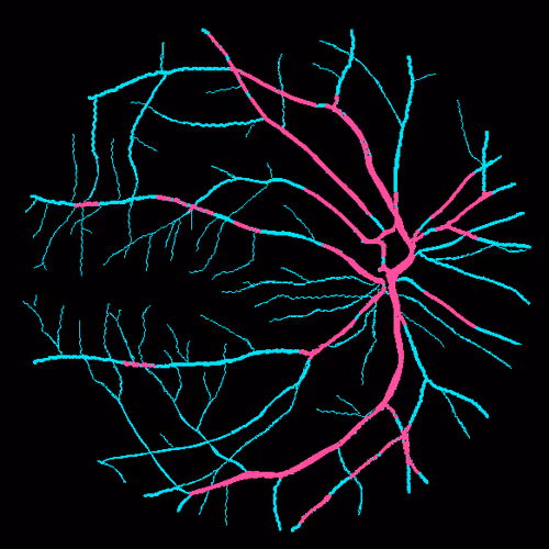 Item #7078802064077755305879053961196844759257248211509687953083586063920716054529 Media