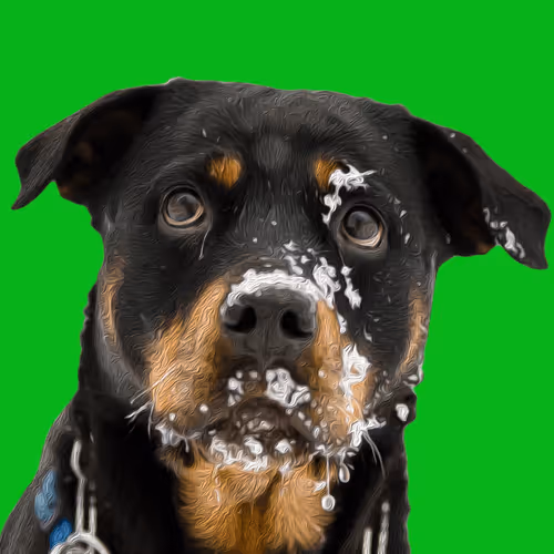 20263366600750275083551787550457323161745504762773807667868667816217831015400