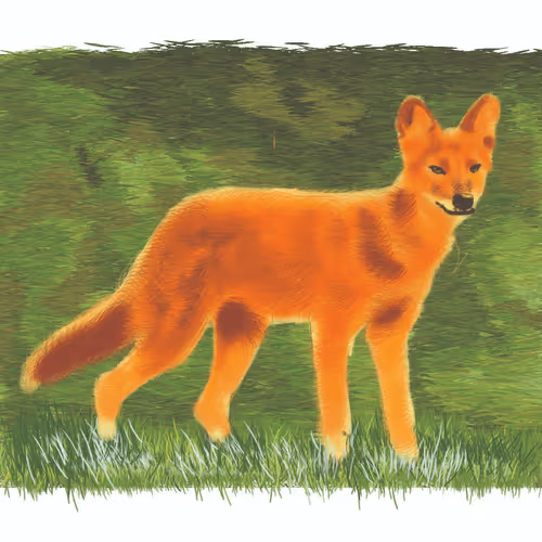 Item #104738666527664519189630233242497289658919169532086623511659344287846803439617 Media