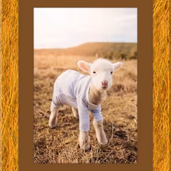 108065665434435766760522700651324844344204555372000129092130959919933024108554