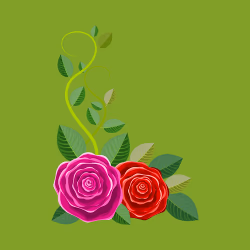 Item #11345277294321805490950982682706921649721953038596019142075108516978271191041 Media