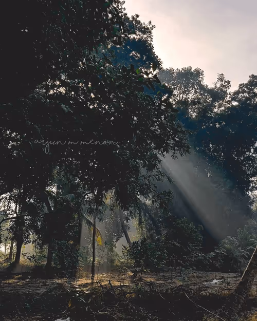 Item #96373460507912281939903112807065392587728079623754575039603803292647318093825 Media