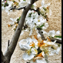 3787080761074609709675817509753112159059746763483256848434353674344640544769