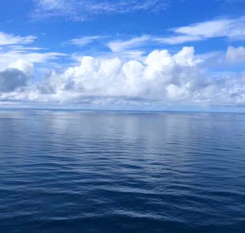 Item #5877388594710505456325712509569170131061927261962223196158836673819543863297 Media