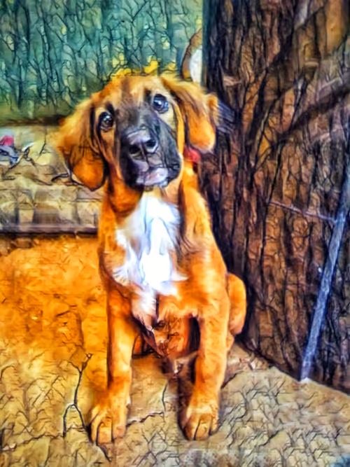 Item #109885862523976899144651734441556854765315219074328426947809034509692069478401 Media