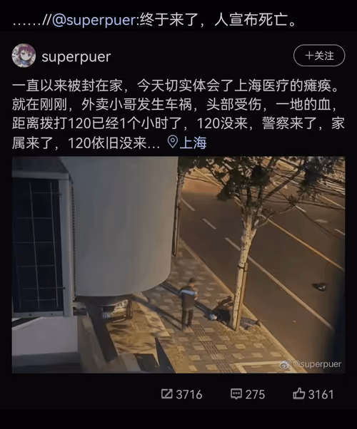 Item #57346900716971839332959013879101135610806288113017830911893514162063615821472 Media