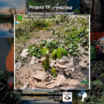 Item #8500196597889277390194123329501889087166328879864934763448349205246848794625 Media