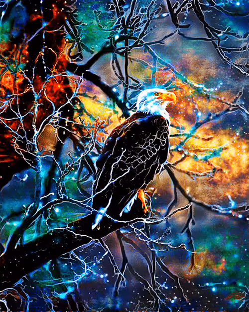 Item #89729483528432656041858195077717803775231662886555176045786539654260268728321 Media