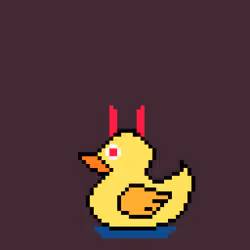 Duck#72