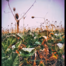 3787080761074609709675817509753112159059746763483256848434353566592501022721