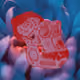 25456721389564905443497313482374563275623572700942389410603542126765858095105