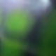 22379308869482956180716580208691734508844198724336024540551692015853222494209