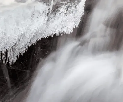 Motion Frozen 11