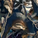 61146536649804980072797073789623413017507738911721699623886220684851979223041