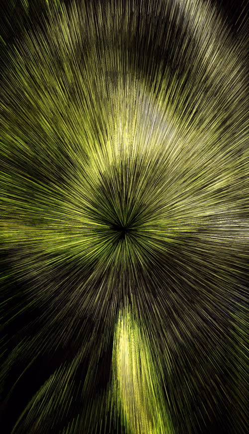 Item #88800166907414790885484805593839365916488736418705682547813036359906341421057 Media