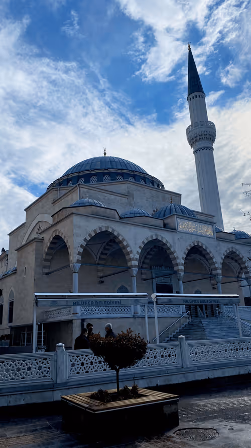 Item #57164340370605487482771130434956821177092171765090651853542028301101072121857 Media