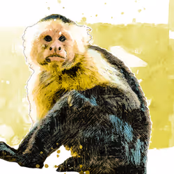 11276162529628641556553056529614973332754405277106184420845745215936707690497