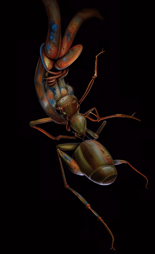 Item #79787343889813582877510155558909016850160649261811296348419943770306925035521 Media