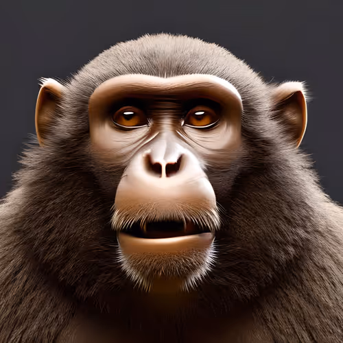 Item #104122341207010635037597445591578208767428357471116342803568103909893257297921 Media