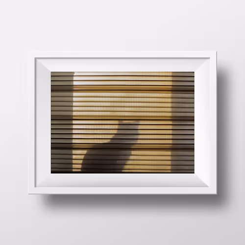 Item #11740799061752435596264574638885618711894056306747773100283827722568448606209 Media