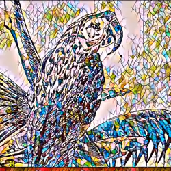 Parrot 3