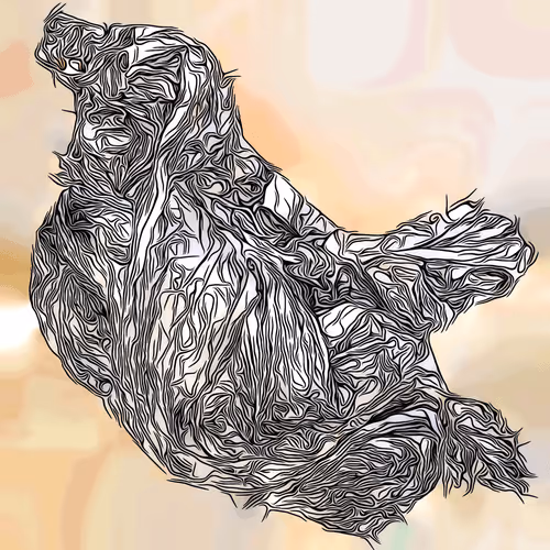 Item #37864746799731171448460552364918233338214163310805134799701393386764138184714 Media