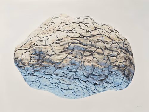 Item #27368314961787649064221585856198725372967139003119485785305163666803904217093 Media