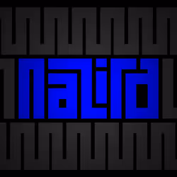 16299965594125679084215638819284828615600716619750483311007834643184073310209