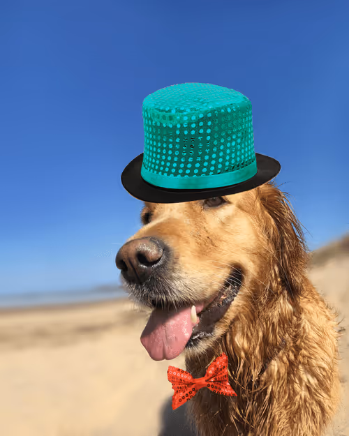 Item #26839399415497039076862880694069072006331525189107682525417321758796319555585 Media