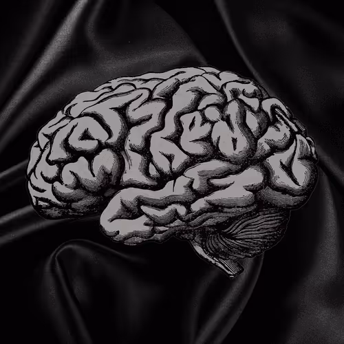 Untitled Collection #178779785 - old