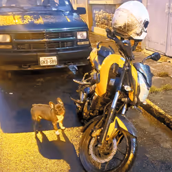 32237202173720727343948986965561335091197107318394763909165930947322050510849