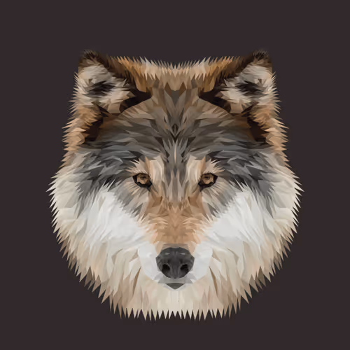 Item #102966254077811659534040558014457144781759861465759309755753559252886978822145 Media