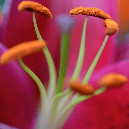 Item #16169064393399629467859942900905405490006492366557123064973208562531674619909 Media