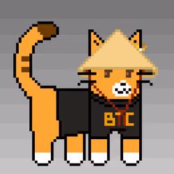 79770416289093399363039460424834617240810747543604802507655727987358733172737