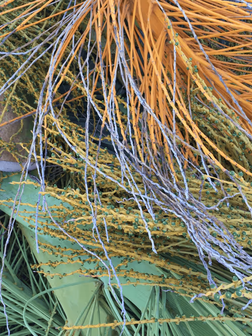 Item #12983873697822473050924405572520618716996513467727223365213159585129724641281 Media