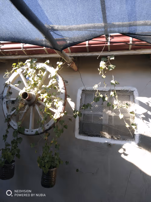 Item #53581876738018030526296833198765097323208142745183468553001527195115269914625 Media