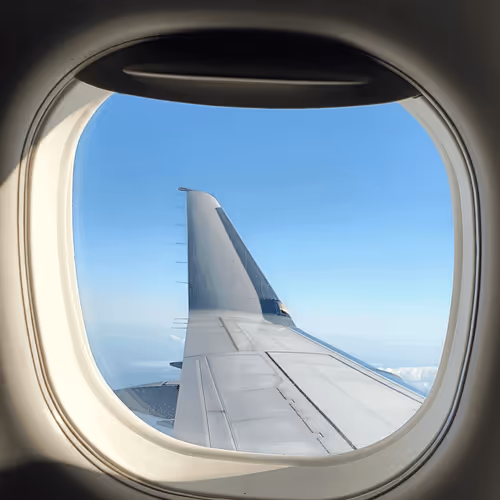 Untitled Collection #24403483