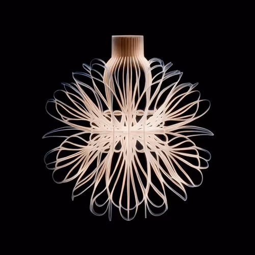 Item #20465790016461110886815958048971507208127989147374131522327960759188110442497 Media