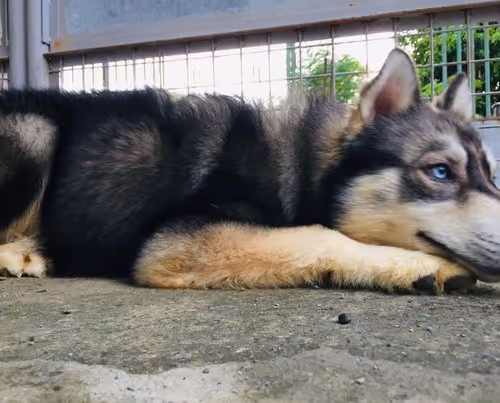 58835359871793248116647993945907080245738143909356775405551556801730246082561