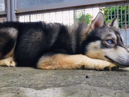 Item #58835359871793248116647993945907080245738143909356775405551556801730246082561 Media