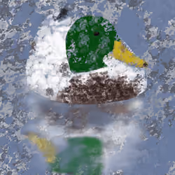 Duck
