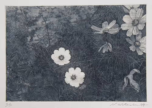 Item #72925079646173943955019179802066495558357068765344184678483369484710018285578 Media